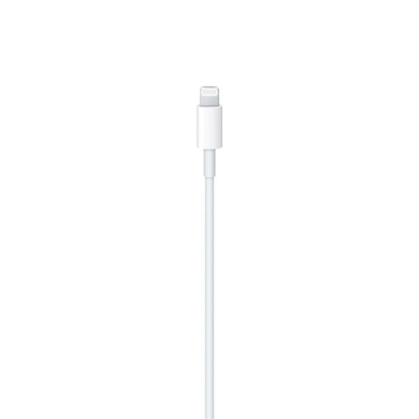 Apple Cable USB-C vers Lightning 1M Original
